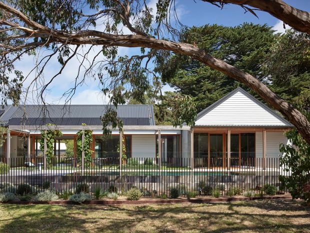 Single-storey residential house viewed from the landscaped front yard, with a long low gabled form, white horizontal weatherboard cladding, dark corrugated metal roofing, timber-framed glazed doors and windows, and a covered veranda behind a black metal fence. Mature eucalyptus and other trees frame the facade.