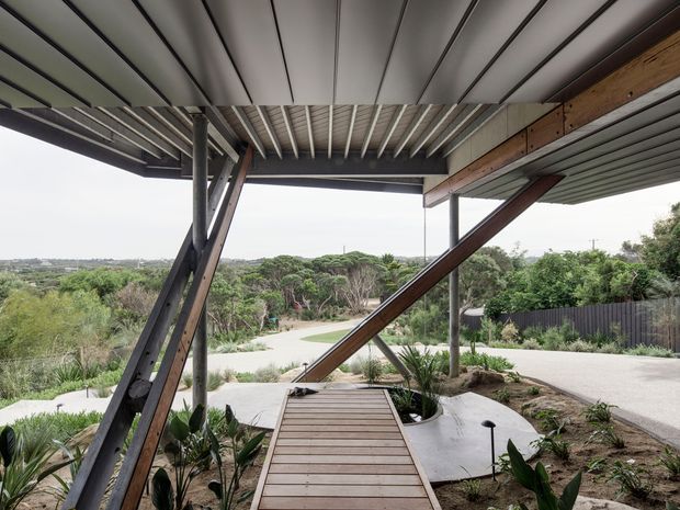 Covered exterior walkway or entry deck beneath a broad corrugated metal canopy, supported by exposed dark timber and steel posts with diagonal bracing. A timber boardwalk crosses landscaped native planting toward a paved driveway, with a low suburban/coastal landscape visible beyond. The image emphasizes the structure, sheltered outdoor circulation, and integrated landscaping.