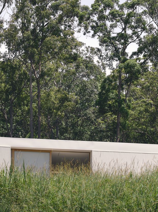 A low, minimalist contemporary building is partially visible behind tall grasses, set against dense native-looking woodland. The facade has smooth pale rendered walls, a flat roofline, and recessed timber-framed glazing or doors. The image is an exterior architectural view with a strong connection to the surrounding landscape.