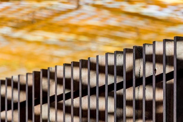 Close-up architectural detail of a dark vertical timber screen or slatted balustrade, with a curved or layered concrete form visible behind it. Warm, motion-blurred foliage in the background creates an autumnal setting. The image emphasizes rhythm, texture, shadow, and the contrast between dark timber slats and pale concrete.