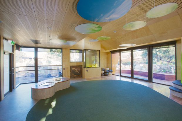 A spacious, brightly lit contemporary interior with extensive glazing, a curved built-in timber reception or activity counter, timber wall and ceiling finishes, and a large teal carpeted floor. Decorative suspended oval ceiling panels and colourful circular ceiling features add a playful character. Sliding glass doors open to an outdoor deck or courtyard, while built-in display or storage joinery lines the rear wall.