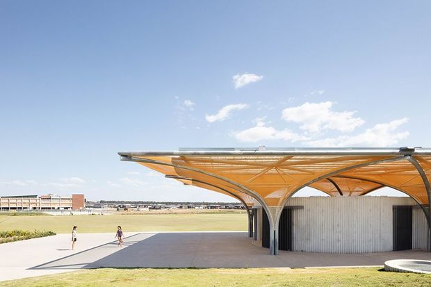 Exterior view of a contemporary pavilion or shelter with a dramatic curved, branching structural canopy made from warm timber-toned or translucent panel elements, supported by sculptural grey columns. The building includes a corrugated metal-clad rounded enclosure and broad paved hardstand, set beside an expansive open lawn or field under a bright blue sky. A distant low-rise building is visible across the landscape.