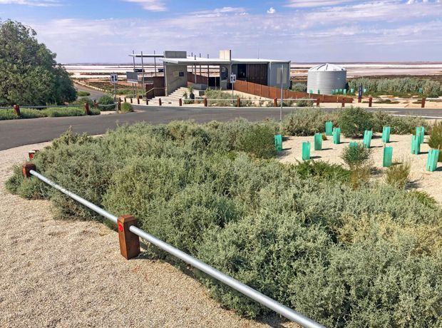 Wide exterior view of a low, contemporary industrial-style building set within a landscaped arid site. The scene includes gravel planting beds with low silvery shrubs and newly planted vegetation protected by bright green tree guards, simple metal rail edging, a paved access road, a large cylindrical tank, and an expansive agricultural or salt-flat landscape beyond.
