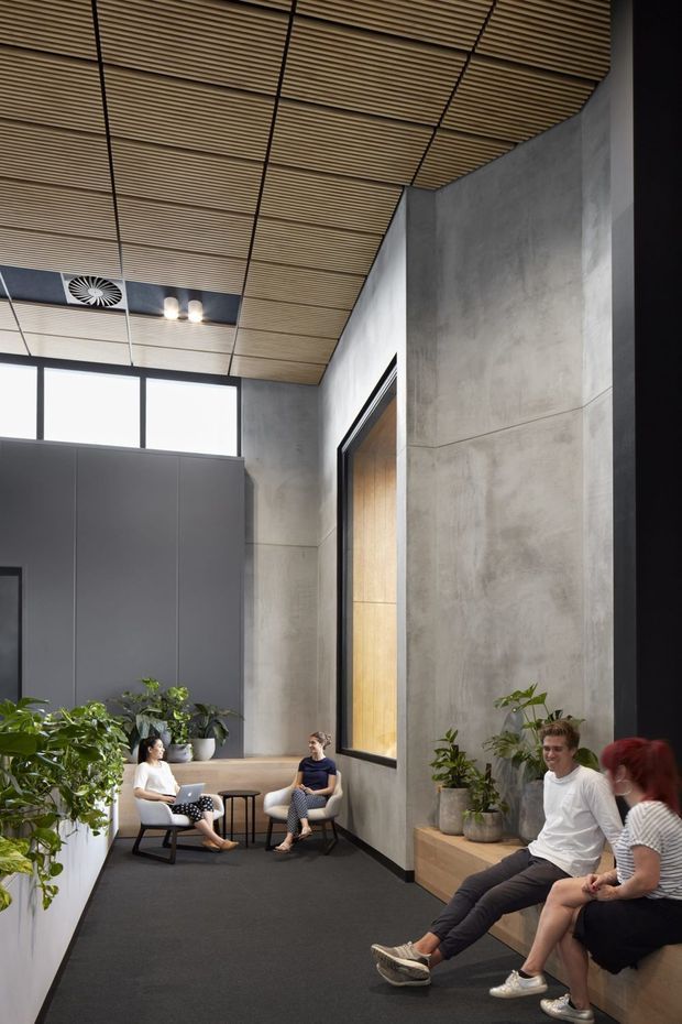 A modern commercial-style waiting or breakout lounge with a tall concrete-look wall, dark charcoal partitions, large high-level windows, and a warm slatted timber ceiling with integrated lighting and ventilation. Potted plants, small round tables, lounge chairs, and built-in timber seating create a contemporary workplace gathering area. People are seated throughout the space.