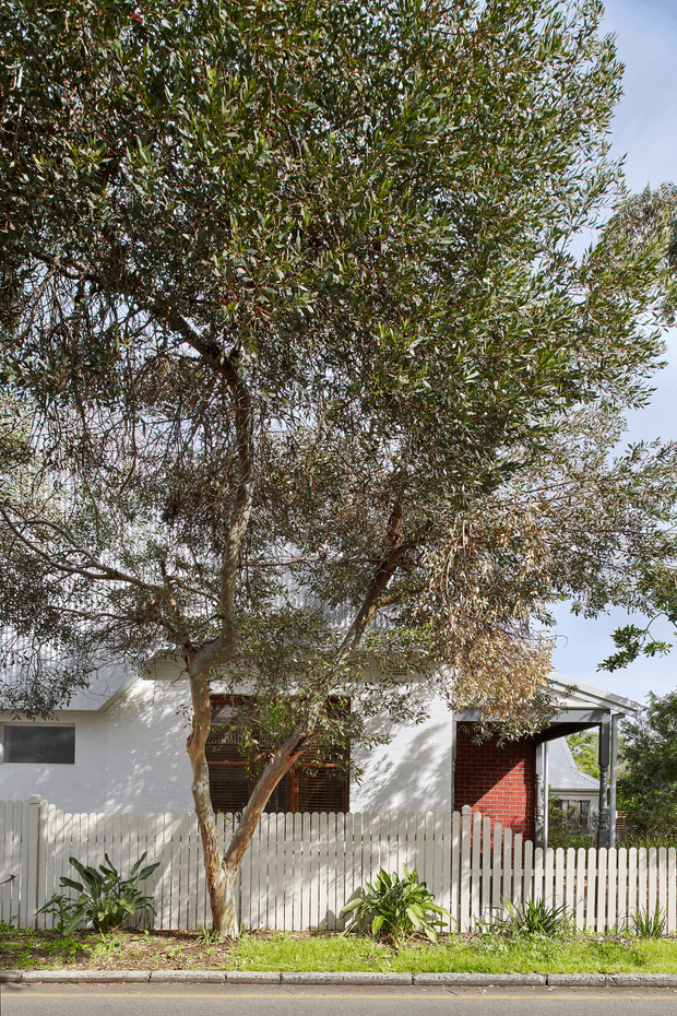 Street-facing view of a modest single-storey suburban house partly screened by mature trees and landscaping. The facade is predominantly white rendered masonry with a red brick recessed entry or porch area, dark timber-like screening, a light pitched roof, and a white picket fence along the footpath.