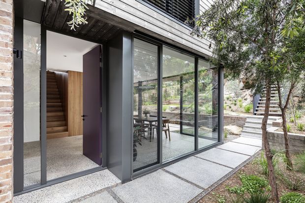 Contemporary residential entry and glazed living area viewed from a landscaped exterior walkway. The facade combines dark metal-framed floor-to-ceiling glazing, pale horizontal timber cladding, and exposed brick, with a deep purple entry door. Through the open doorway, a timber staircase and warm timber wall are visible; the glazing reveals a dining table and chairs. Concrete stepping slabs lead through a planted garden with terraced masonry retaining walls and exterior steps.