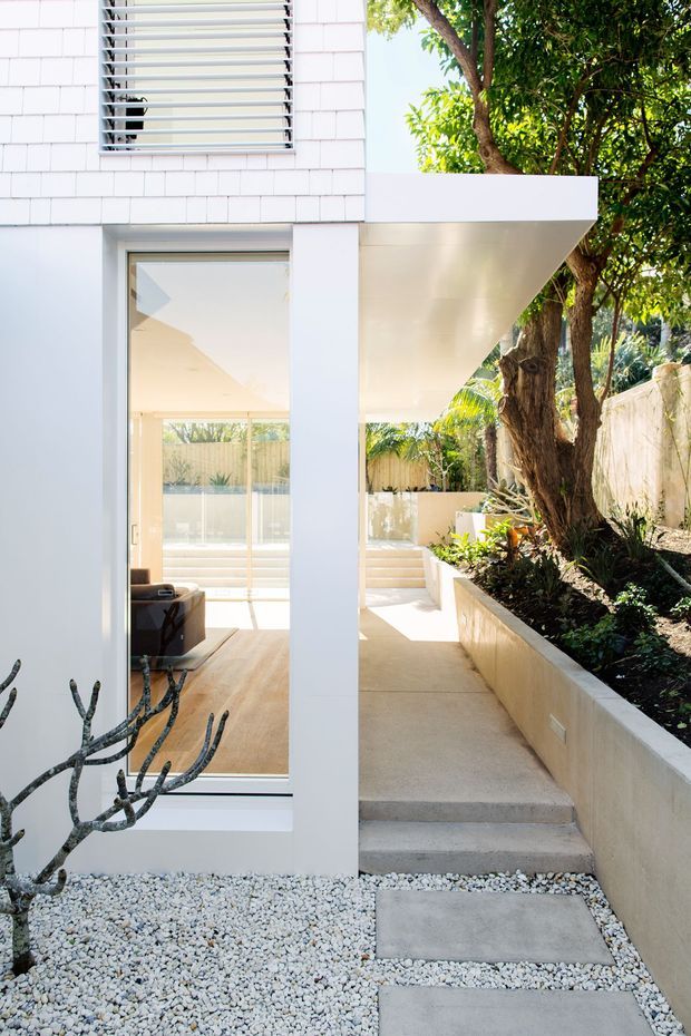Bright contemporary residential exterior showing a side entry walkway and landscaped courtyard beside a white-clad house. The facade has small shingle-like white cladding, a large glazed door or window, horizontal louvres, and a projecting flat-roof canopy. Concrete steps and pavers run through a white-pebble bed, with a raised planter containing established trees and drought-tolerant planting. A living area is visible through the glazing.