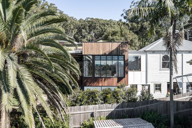 Exterior view of a contemporary timber-clad addition with extensive dark-framed glazing, attached to a white weatherboard house. The building sits among mature palm trees and dense greenery, with fencing and a timber deck or roof structure in the foreground.
