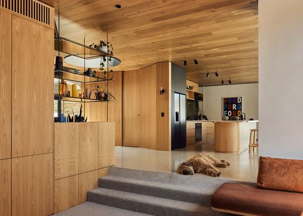 Warm contemporary open-plan interior with extensive timber wall and ceiling lining, integrated timber cabinetry, curved open shelving, a compact kitchen with island, and a living area connected by broad carpeted steps. The space features refined built-in joinery, polished light flooring, recessed and track lighting, and a neutral earthy palette.