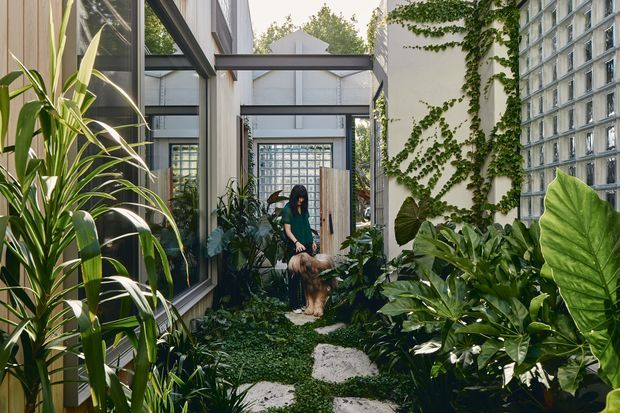 A lush, enclosed indoor-outdoor courtyard or garden passage framed by modern glazed walls, dark metal structural beams, white rendered walls, and glass-block screens. Dense tropical planting surrounds a stepping-stone path, with climbing greenery covering one wall. A person and dog are present within the garden.