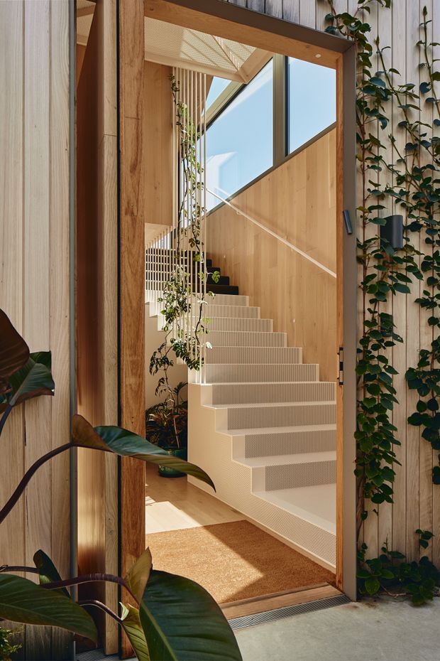 A view through a timber-framed opening into a bright, contemporary stair hall. A wide staircase with light perforated or ribbed risers ascends beside warm timber wall panelling and tall glazing. Vertical timber battens, hanging and climbing greenery, and a skylit ceiling add texture and a strong indoor-outdoor connection. The image is composed from an adjacent space or threshold looking directly toward the stairway.