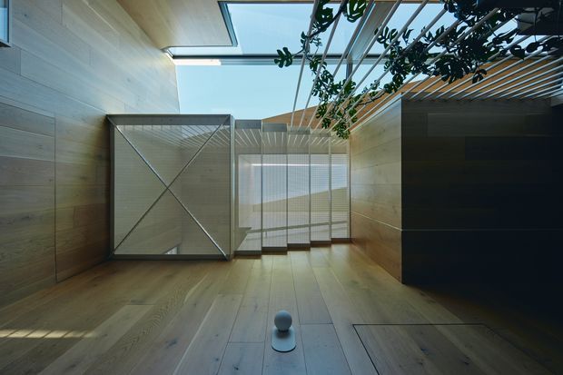 A refined contemporary interior with warm timber wall and floor finishes, a large central skylight, translucent full-height glazing, and a dramatic dark built-in volume on the right. A slatted overhead structure supports trailing greenery, while a sculptural metal-framed panel and concealed floor access panel add architectural detail. The space is airy and calm, with strong natural light and indoor-outdoor visual connection.