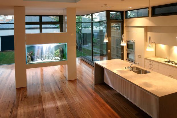 A spacious open-plan contemporary kitchen and living area with a large central island, integrated stainless-steel sink and cooktop, pale cabinetry, warm pendant lighting, extensive corner glazing, and polished timber flooring. A built-in aquarium forms a feature wall beneath the windows, with a small landscaped courtyard visible outside.