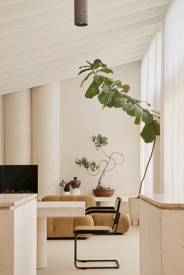 A warm, refined contemporary living room with a sculptural cream-toned interior, vaulted white slatted ceiling, tall sheer-curtained glazing, and a large indoor tree. The room includes a low mustard-tan sofa, black tubular-frame lounge chair, fireplace or dark television feature at left, pale stone-look kitchen or bar elements in the foreground, and sculptural potted plants. The space feels airy, organic, and softly minimalist with strong vertical and curved forms.