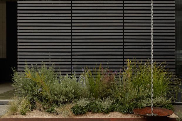 A landscaped frontage beside a dark contemporary building facade, featuring dense ornamental grasses, silvery shrubs, and low planting in a narrow garden bed. The facade has extensive horizontal dark metal screening or slatted cladding, with a suspended rust-coloured circular planter or feature element hanging from a chain at the right.