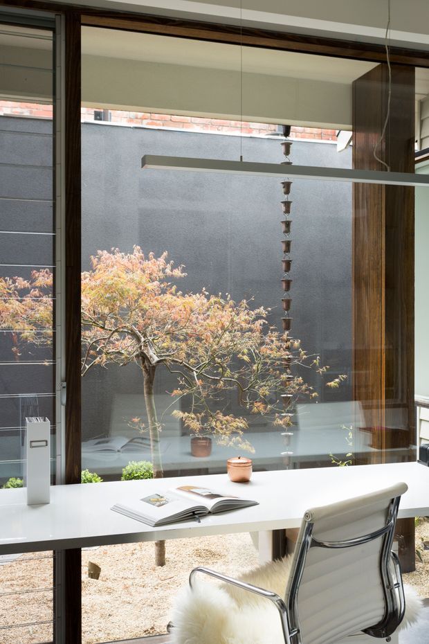 A bright, compact home office positioned beside floor-to-ceiling glazing, with a white built-in desk, open book, modern white leather-and-chrome chair, and dark timber window framing. The glazing overlooks a planted courtyard with a sculptural tree and hanging rain chain. A slim linear pendant light spans the workspace.