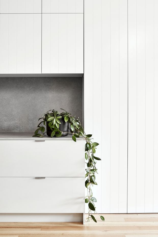Minimalist close-up of a contemporary white built-in kitchen or storage joinery, featuring vertically grooved white cabinet fronts, a dark grey textured splashback or recess, pale timber flooring, and a trailing green potted plant.