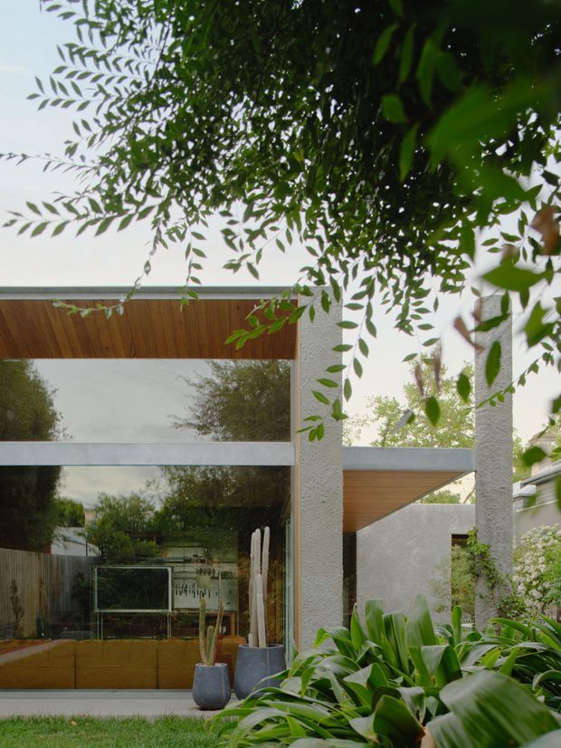 A contemporary residential exterior courtyard view framed by dense leafy planting. The façade features large reflective glazing with horizontal metal framing, white textured rendered columns and walls, and warm timber soffits beneath projecting roof elements. Lush garden planting and a small lawn soften the architectural composition.
