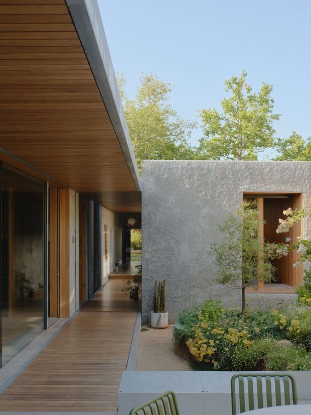 A contemporary courtyard-facing residential exterior with a long timber-lined soffit and timber deck walkway beside full-height dark-framed glazing. A textured light-grey rendered wall forms the opposite side of the planted courtyard, with a timber-framed opening and lush low landscaping. Outdoor dining furniture and a pale concrete or stone bench appear in the foreground under a clear sky.