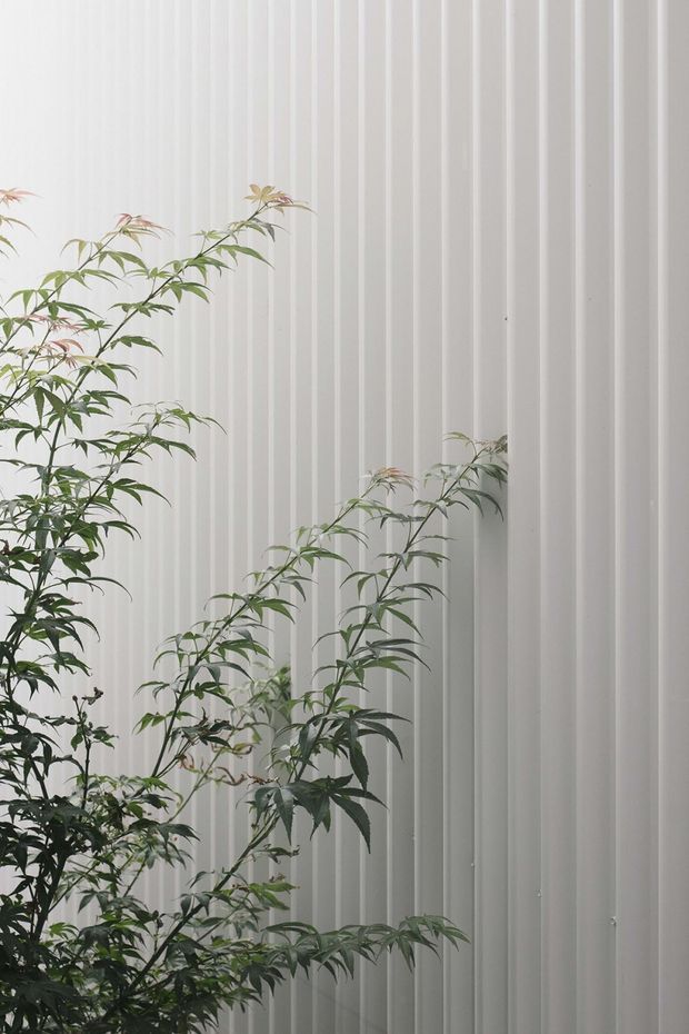A close-up architectural detail showing a tall white vertically ribbed or corrugated wall, partially screened by slender leafy plants. The image is softly lit and minimalist, with the pale textured facade dominating the frame and greenery providing a natural foreground accent.