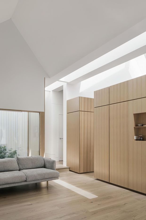 Bright minimalist living room with a grey upholstered sofa, pale timber flooring, and extensive floor-to-ceiling timber cabinetry forming a warm feature wall. White walls and a high angled ceiling are punctuated by a long skylight that brings in strong natural light. A glazed opening with sheer curtains and indoor planting is visible at left, while a small recessed display niche adds detail to the cabinetry.