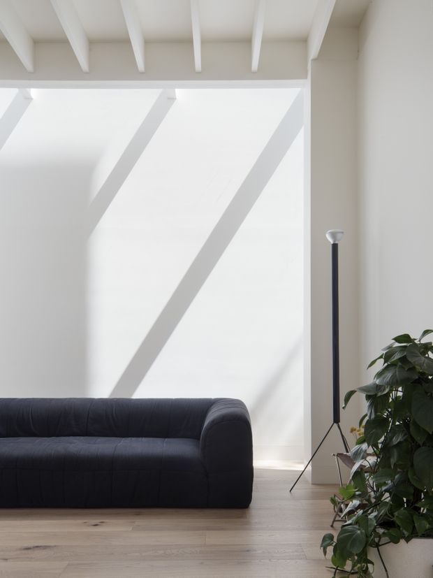 A bright, minimalist living room with a dark charcoal upholstered sofa positioned against a tall white wall. Strong daylight enters through large glazing or a skylit opening, casting diagonal shadows from structural beams across the white surfaces. The room features exposed white ceiling rafters, pale timber flooring, a slim black floor lamp, and a large leafy indoor plant.