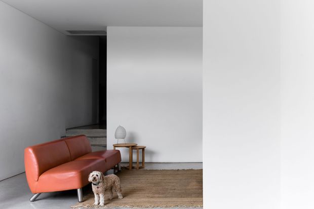 A minimalist living room with a low coral-orange leather sofa, small nesting side tables and a neutral table lamp. A small dog stands on a large natural-toned rug over timber flooring. White plaster walls and a stark open passage create a clean, gallery-like interior with strong light and shadow.