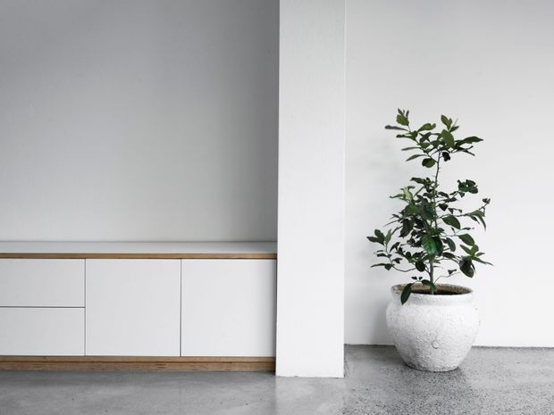 Minimalist interior corner featuring a low, white built-in storage cabinet with slim timber trim and a large white structural column. A potted leafy tree sits on a grey polished concrete floor against white walls, creating a sparse, calm composition.