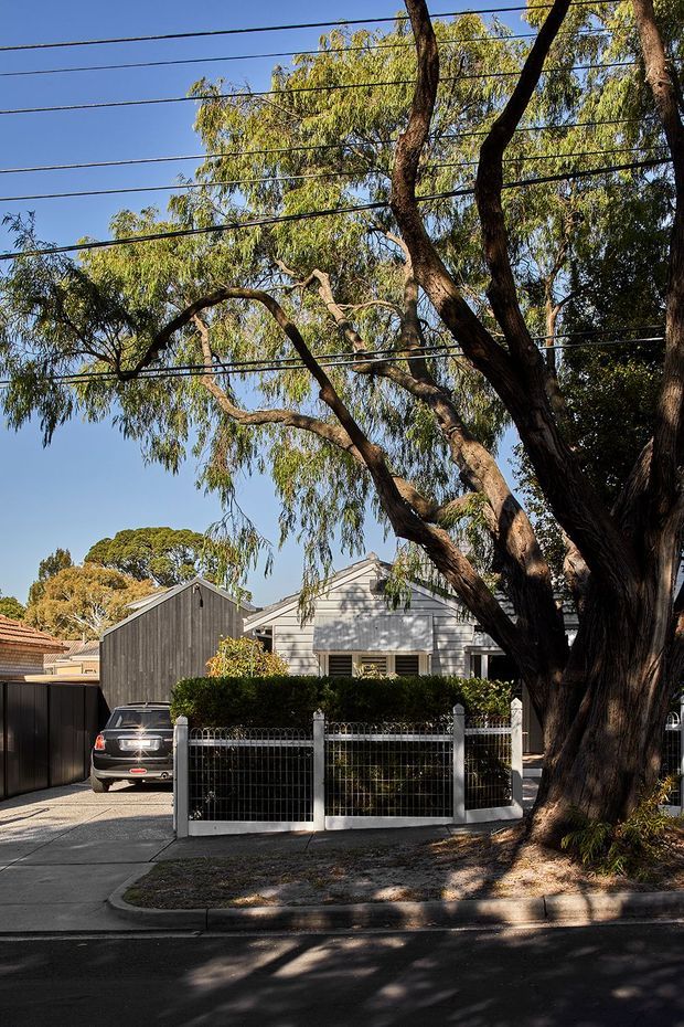 Street-facing view of a suburban detached house behind a low metal-and-wire fence, with a driveway and covered parking area at left. The dwelling has a simple gabled roof, pale horizontal weatherboard-style cladding, a darker vertical-clad side volume, and a large mature tree dominating the foreground. Overhead utility wires and neighboring homes are visible.