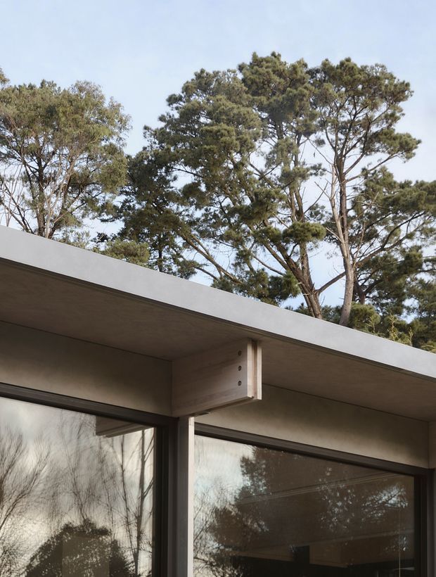 Close-up exterior architectural view of a low-slung flat-roofed building set among mature trees. The image highlights a broad pale roof slab with a projecting timber-toned beam, slender structural post, and large dark-framed glazed openings reflecting the surrounding landscape. The composition emphasizes modernist horizontal lines, exposed structural detailing, and strong indoor–outdoor connection.