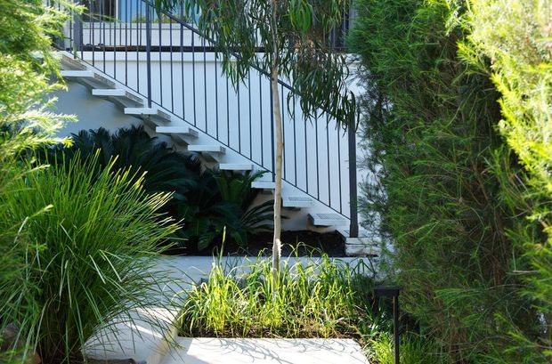 Exterior view of a modern home partially screened by dense landscaping. A white raised staircase with slim black metal balustrades leads beside a white rendered building, with pale paving and layered ornamental planting in the foreground.