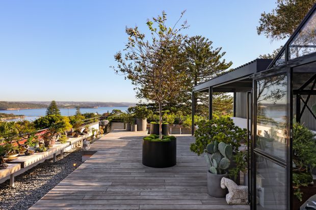 A landscaped timber deck terrace overlooking a broad coastal or lakeside water view. The space features large black planters with trees, rows of potted plants along the balustrade, gravel landscaping, and a glass-and-dark-metal enclosed structure at the right. The scene is bright and contemporary with expansive outdoor views.