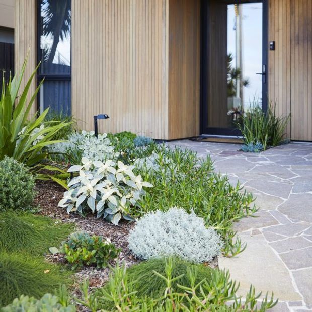 A landscaped entry garden leads to a contemporary home entrance. Vertical light timber cladding frames a dark glazed front door and window, while an irregular natural-stone pathway and layered drought-tolerant planting create a textured approach.