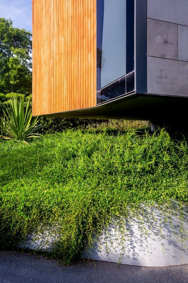 Close-up exterior architectural view of a modern elevated building corner, featuring warm vertical timber cladding, dark framed floor-to-ceiling glazing, and large grey wall panels above a landscaped garden. The structure projects over dense greenery and a curved pale retaining wall, with strong sunlight creating crisp shadows.