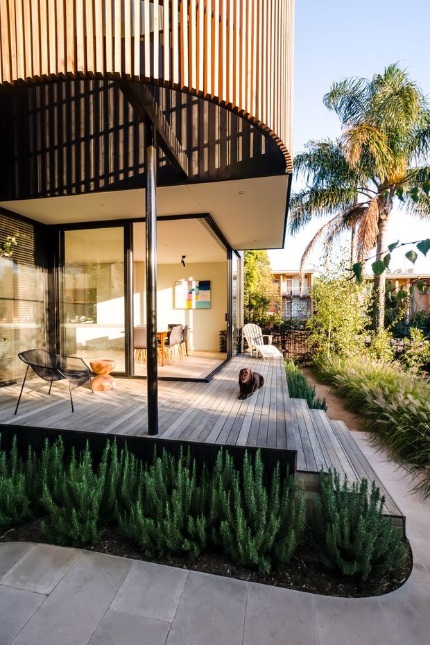 A contemporary residential exterior viewed from a landscaped garden, featuring a raised timber deck, large sliding glass doors, a covered outdoor living area, and a distinctive curved upper facade screened with vertical timber battens. The deck connects to a paved garden path with dense rosemary-like planting, while a palm tree and neighbouring homes are visible in the background.