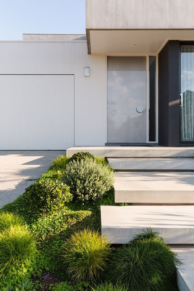 Contemporary residential front entry viewed from the landscaped approach, featuring a light textured vertical-cladding garage door, pale rendered upper facade, dark recessed entry surround, glazed front door, and broad floating concrete steps. Layered low-maintenance planting with grasses and clipped shrubs borders the entry and driveway.