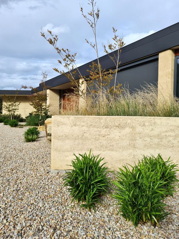 Exterior view of a low, contemporary single-storey residence with a dark charcoal flat roof and facade elements, pale textured rendered walls, and a recessed timber entry. The building is integrated into a minimalist landscaped frontage with gravel ground cover, rendered raised planters, ornamental grasses, and sculptural green planting beneath an overcast sky.