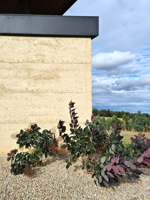 Exterior architectural detail of a contemporary building, showing a pale textured masonry or concrete wall, dark projecting roof edge, and dark timber soffit. Gravel landscaping with shrubs sits in the foreground, with open rural landscape and cloudy sky beyond.