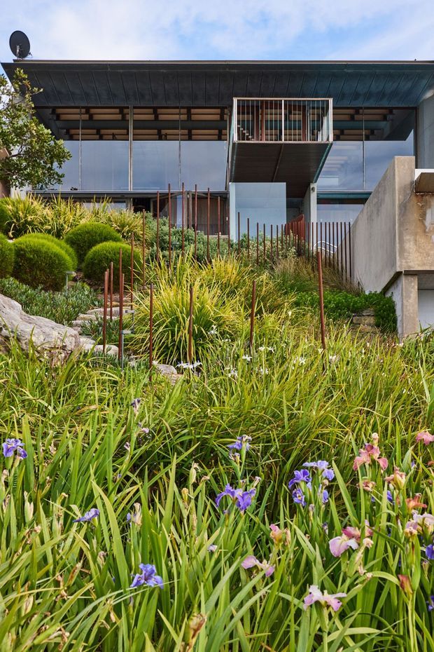Exterior view of a contemporary multi-level house set into a landscaped sloping garden. The building features a broad dark metal roof with deep eaves, extensive floor-to-ceiling glazing, exposed timber-toned structural elements, a projecting upper balcony with vertical metal balustrades, and concrete retaining walls. The foreground is densely planted with ornamental grasses, rounded shrubs, rocks, and flowering irises.