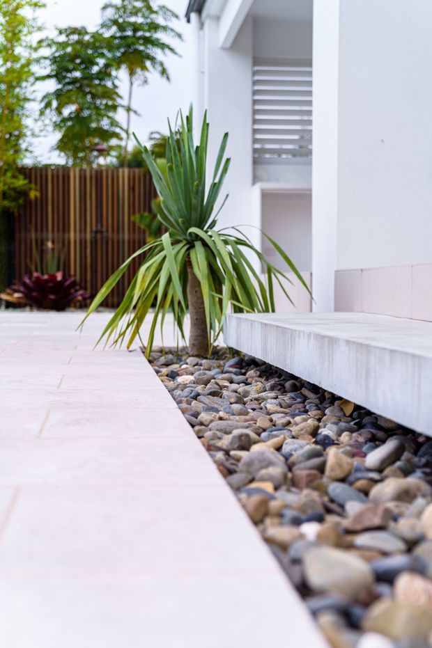 A minimalist contemporary residential exterior showing a pale tiled walkway beside a raised concrete entry step. A landscaped pebble bed with a sculptural yucca-like plant runs along the white facade, with a vertical timber privacy fence and louvred opening in the background.