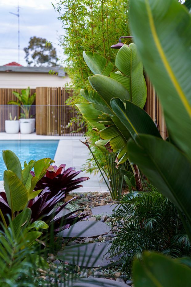 A lush tropical courtyard garden beside a rectangular swimming pool, viewed along a stepping-stone path. Large banana-like foliage, bamboo screening, palms, and burgundy tropical plants create a dense layered landscape. Pale paving and river stones surround the pool, with a timber slat fence and a small exterior shower visible in the background.