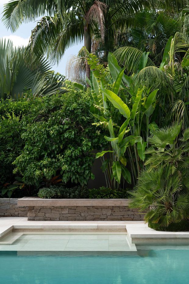 A lush tropical landscaped pool area with dense palms, banana plants, and layered greenery behind a low stacked-stone retaining wall. Pale stone steps and coping lead into a calm turquoise swimming pool, creating a resort-like outdoor setting.
