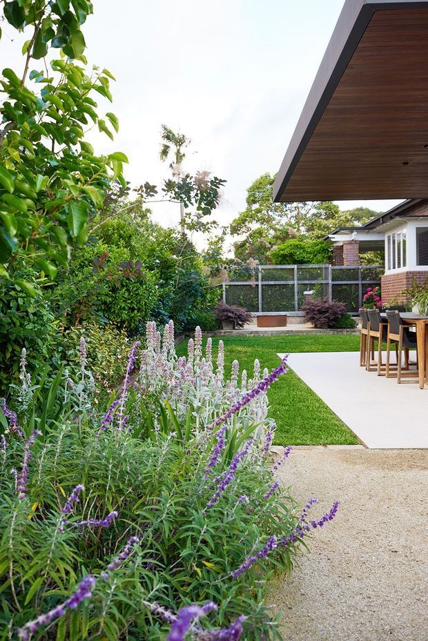 A landscaped residential courtyard or garden beside a modern outdoor entertaining area. Dense flowering planting borders a light gravel pathway, which leads to a pale paved patio with a timber-lined roof overhang, bar-height outdoor seating, and part of a brick-and-white house visible beyond. The scene is bright, lush, and carefully designed.