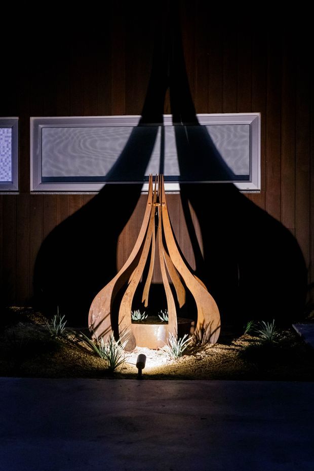 A nighttime exterior detail showing a sculptural curved timber feature surrounding a central planter, dramatically illuminated by a ground spotlight. The feature stands against a dark vertical timber-clad wall with horizontal framed panels, with low desert-style planting at its base and strong cast shadows.