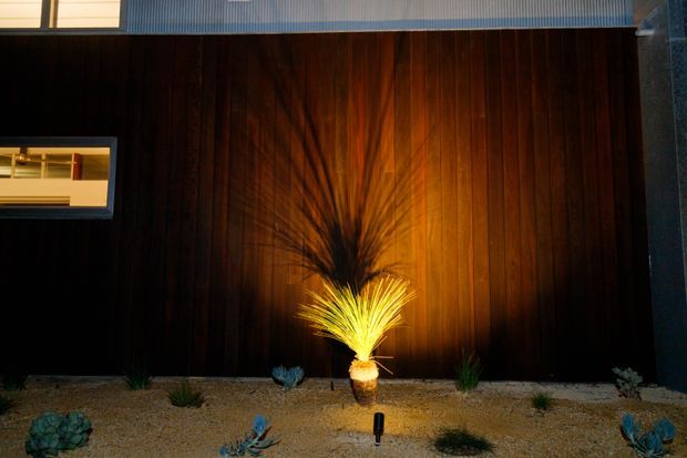 Night-time exterior view of a contemporary building facade clad in dark vertical timber boards, dramatically illuminated by a warm uplight and a small ornamental plant. A gravel xeriscaped garden with succulents runs along the base, while a narrow window and corrugated upper cladding are visible.