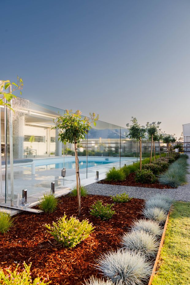 A landscaped outdoor pool area beside a modern building, viewed along a clear glass safety fence. The scene features a blue swimming pool, pale paved surrounds, gravel paths, mulched garden beds, ornamental grasses, young trees, and low contemporary glazing reflecting distant hills. The design is clean, geometric, and contemporary, with warm late-day light.