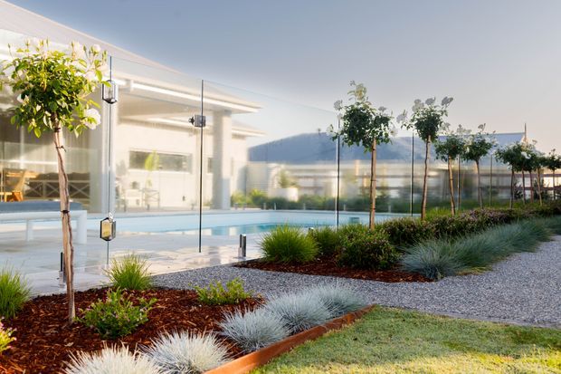 Modern landscaped courtyard with a rectangular swimming pool enclosed by frameless glass fencing. A white, flat-roofed building with extensive glazing sits behind the pool, while structured planting, ornamental grasses, young trees, gravel paths and mulched garden beds define the foreground.