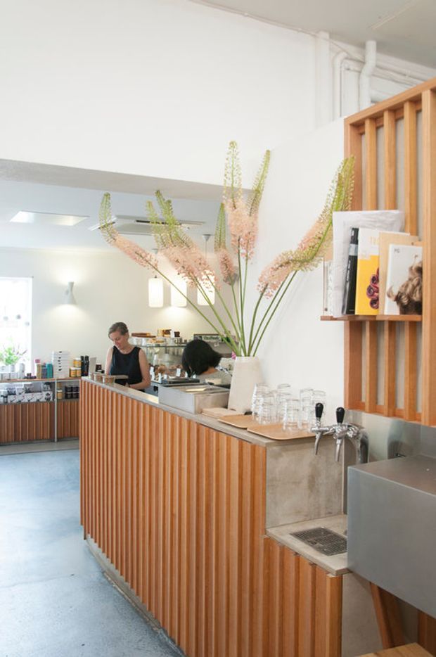 Bright contemporary café interior viewed from the customer area, featuring a long timber slatted service counter, concrete countertop, stainless-steel sink and beer taps, open shelving, and staff working behind the counter. White walls and ceiling, polished grey floor, and tall decorative floral branches create an airy, natural atmosphere.