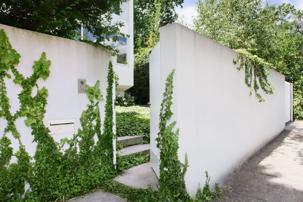 Exterior view of a minimalist white rendered wall and entry passage, with clean geometric forms, narrow concrete paving, and climbing greenery integrated across the facade. A partial white multi-storey building is visible behind the wall.