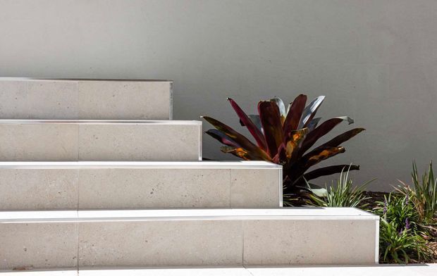 Exterior architectural detail showing broad stepped concrete or stone-clad terraces/steps with crisp white edges, set against a smooth grey wall and landscaped tropical planting. The composition is minimalist and geometric, with dark red and green foliage providing contrast.